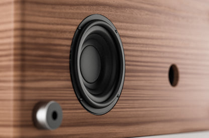 Pinell SUPERSOUND 901