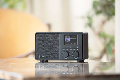 Pinell SUPERSOUND 201W