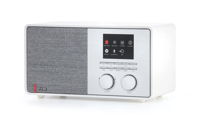 Pinell SUPERSOUND 301